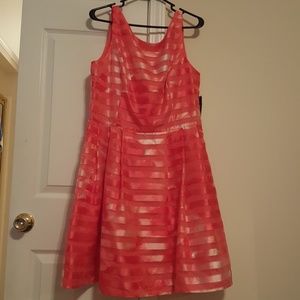 Jessica Horton Missy Dress